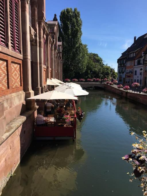 Appartement Climatise 70 M2, Proximite De Colmar Sainte-Croix-en-Plaine Exterior photo